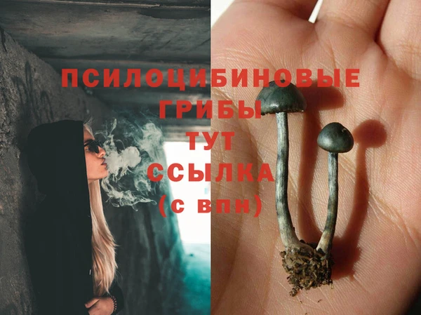 MDMA Premium VHQ Верхний Тагил