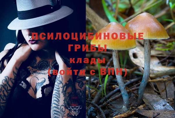 MDMA Premium VHQ Верхний Тагил