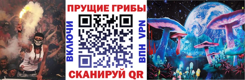 Галлюциногенные грибы Psilocybine cubensis  Тобольск 