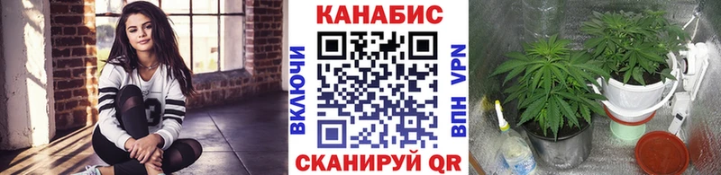 Шишки марихуана конопля  площадка телеграм  Тобольск 